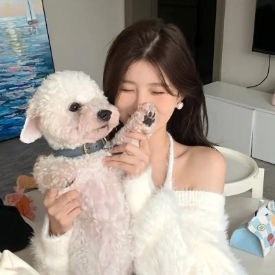 双层公寓：夏威夷配图